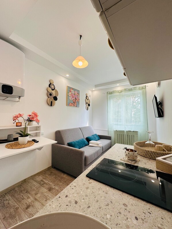 Standard Studio | Desk, free WiFi, bed sheets - Urban Studio for a Real Ghetto Experience (Craiova)