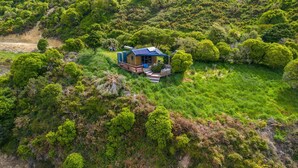 A secluded house surrounded by dense greenery, with a visible deck and outdoor seating area.