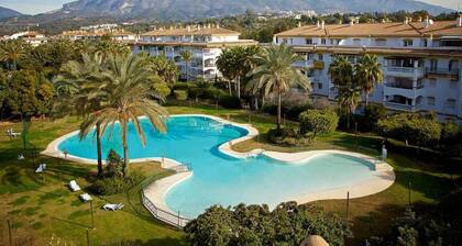 Serinamar - Dama de Noche