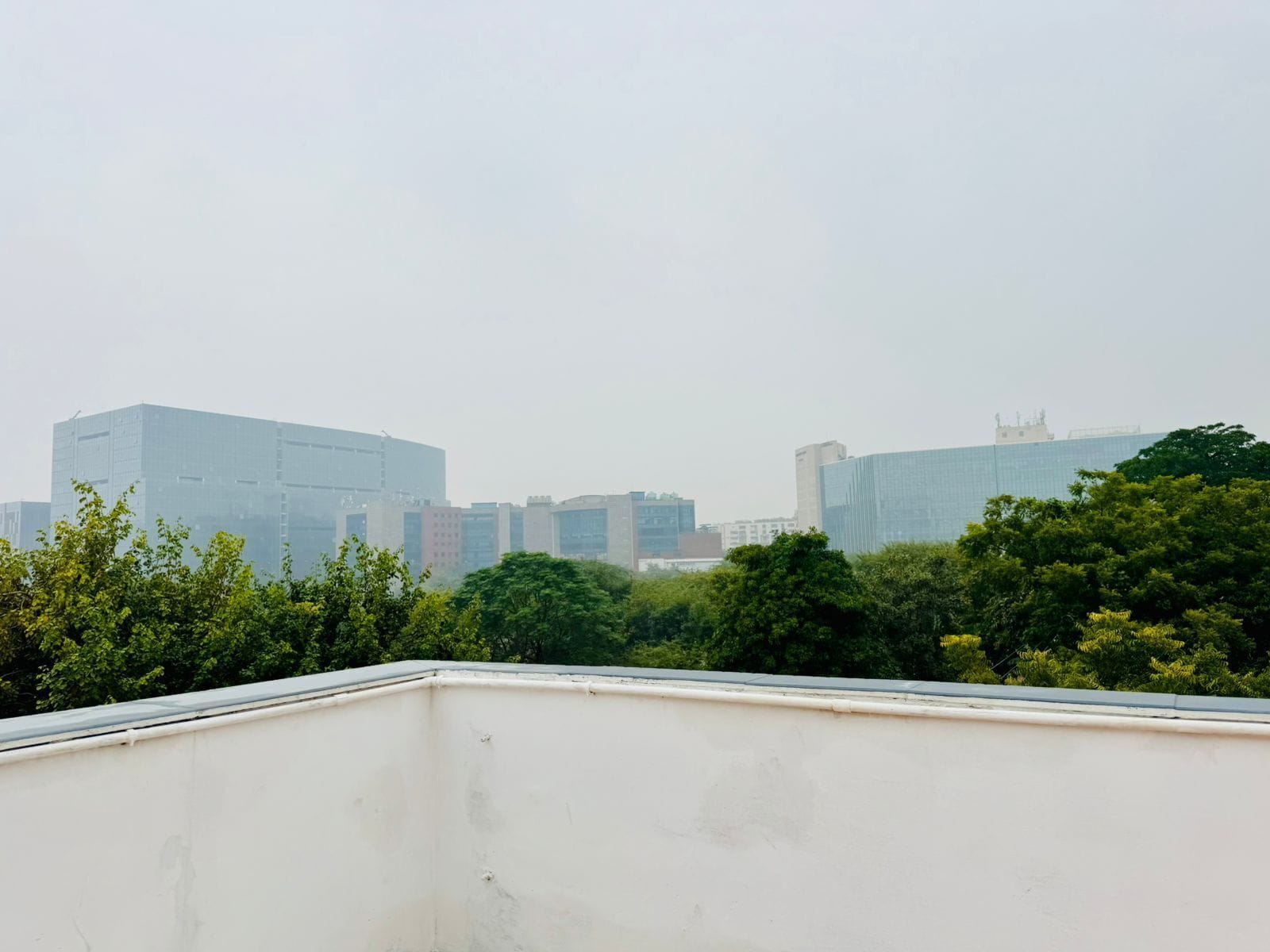 A cityscape with modern buildings and dense greenery in the foreground.