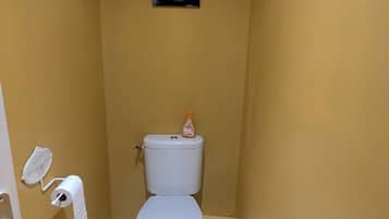Une petite salle de bain avec des toilettes, un rouleau de papier toilette et un flacon de savon liquide sur le réservoir.