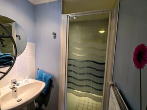 Une salle de bain équipée d’un lavabo, d’un miroir, d’un porte-serviettes, d’une douche avec une paroi en verre dépoli et d’un radiateur.