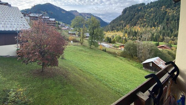 A view from a balcony overlooking a rural landscape with houses, a tree, and mountains. - Cozy studio in Châtel, near center, with mountain corner, parking and balcony (Châtel)