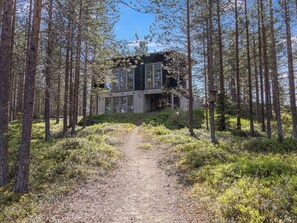 Una casa rodeada de árboles altos con un camino de tierra que lleva a ella.