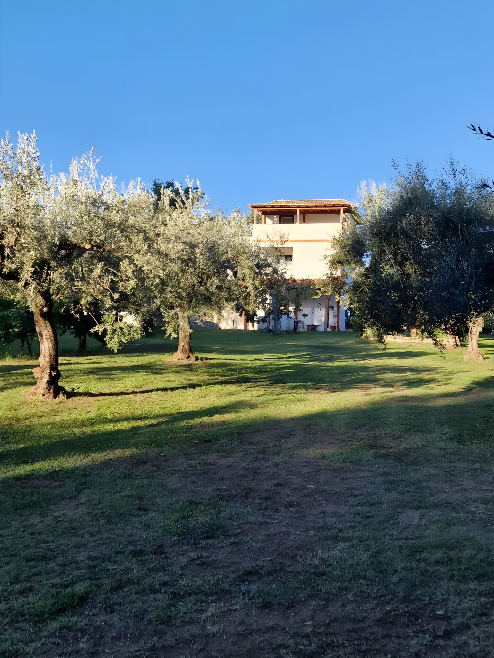 Parco della struttura