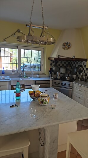 Fridge, oven, dishwasher, coffee/tea maker