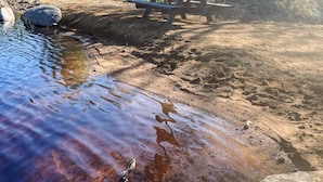 A natural outdoor setting with a picnic table and a small water body. - 4 Star Holiday Home in Karlskrona (Eringsboda)
