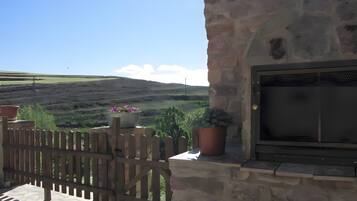 A stone building with a grill and potted plants.