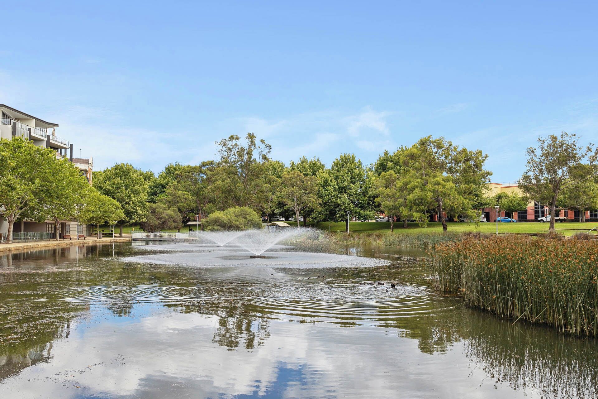 Ein friedlicher Park mit einem Brunnen, üppigem Grün und blauem Himmel.
