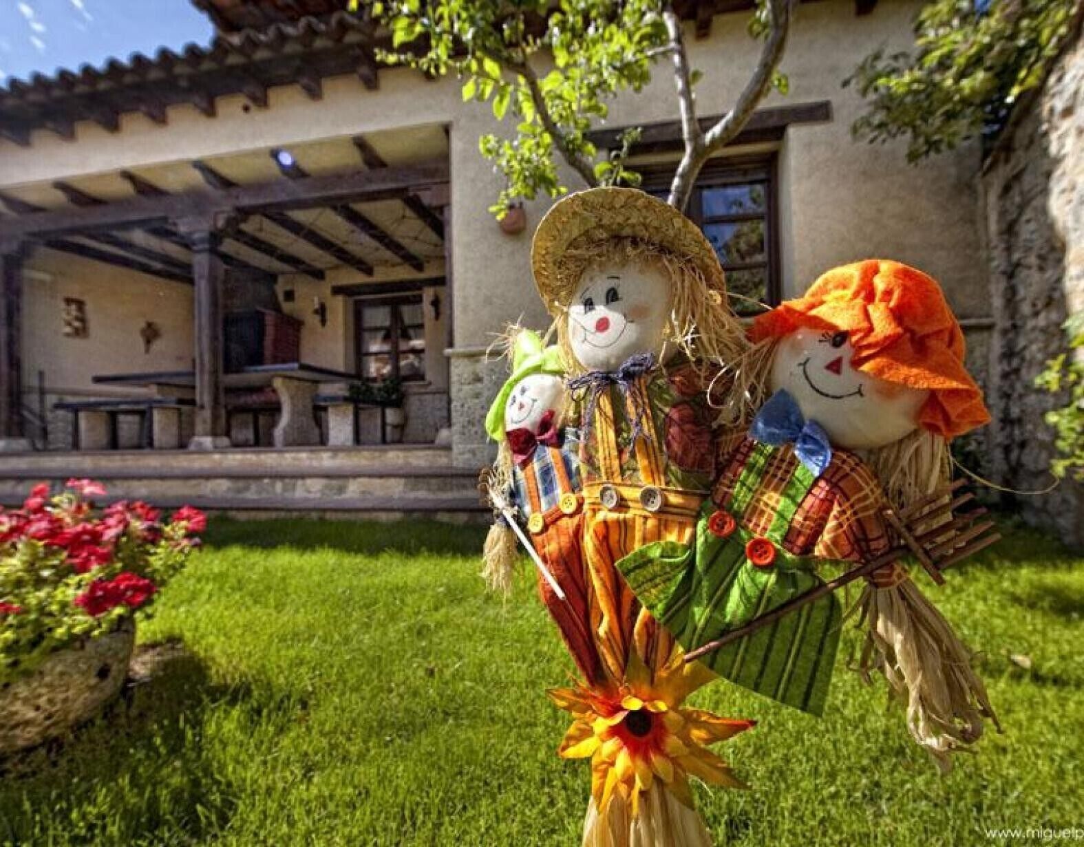 Parco della struttura