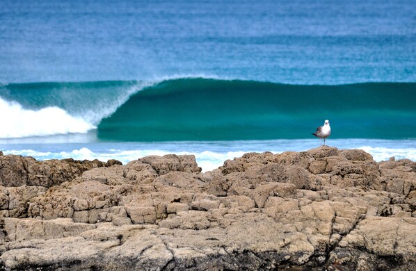 Beach nearby