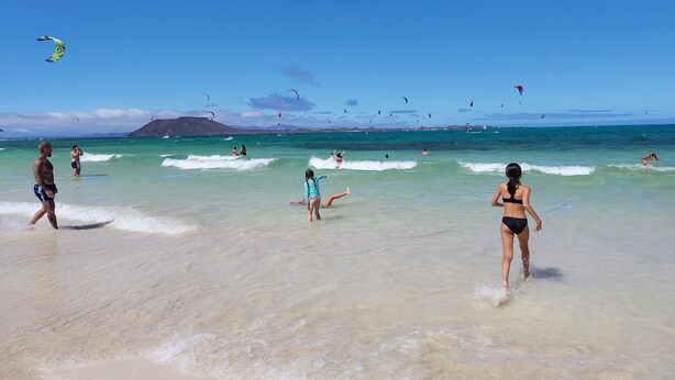 A beach with people swimming and walking, and kites flying in the sky.