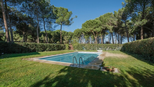 A rectangular swimming pool surrounded by well-maintained grass and hedges, with trees in the background. - Country House 'Ribera Del Duero' with Mountain View, Private Pool and Private Garden (TRASPINEDO)