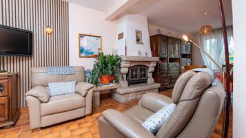 Télévision, cheminée, lecteur de DVD, chaßne hi-fi