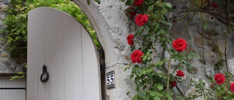 Detalle exterior
