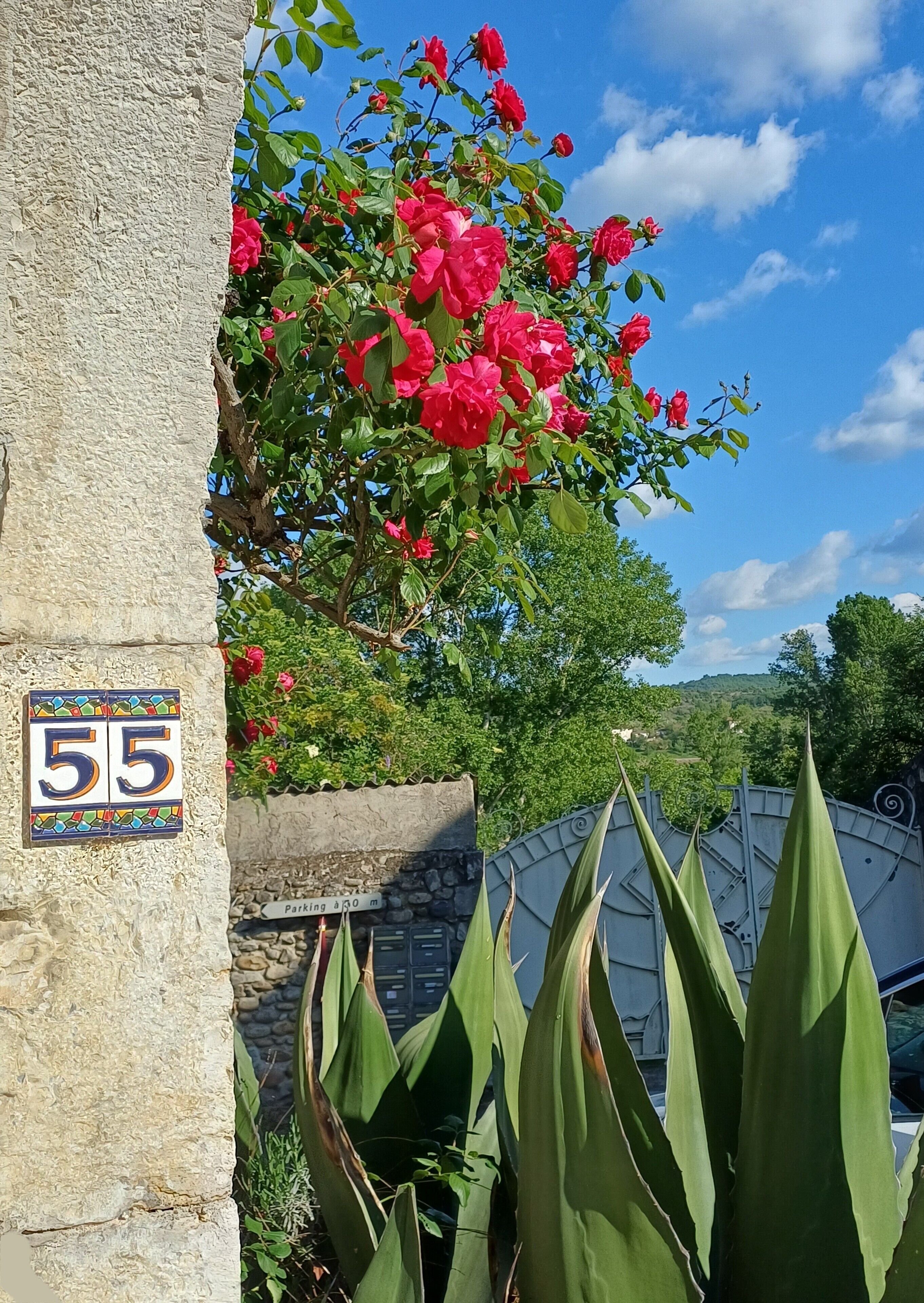 Un pilar de piedra con placa numérica, un arbusto en flor y plantas de agave.