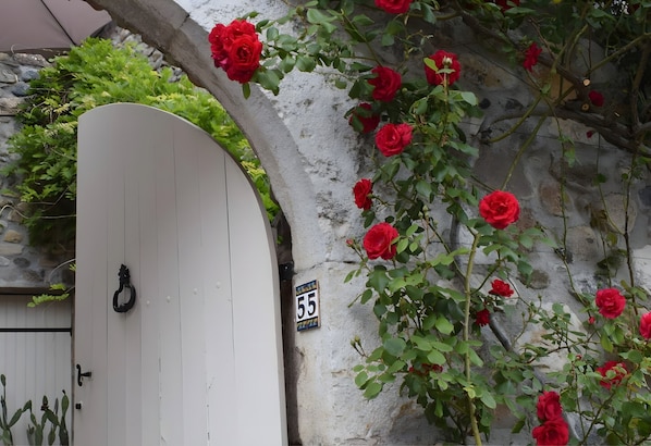 A white door with a black handle, a number '55' sign, and red roses climbing a stone wall.