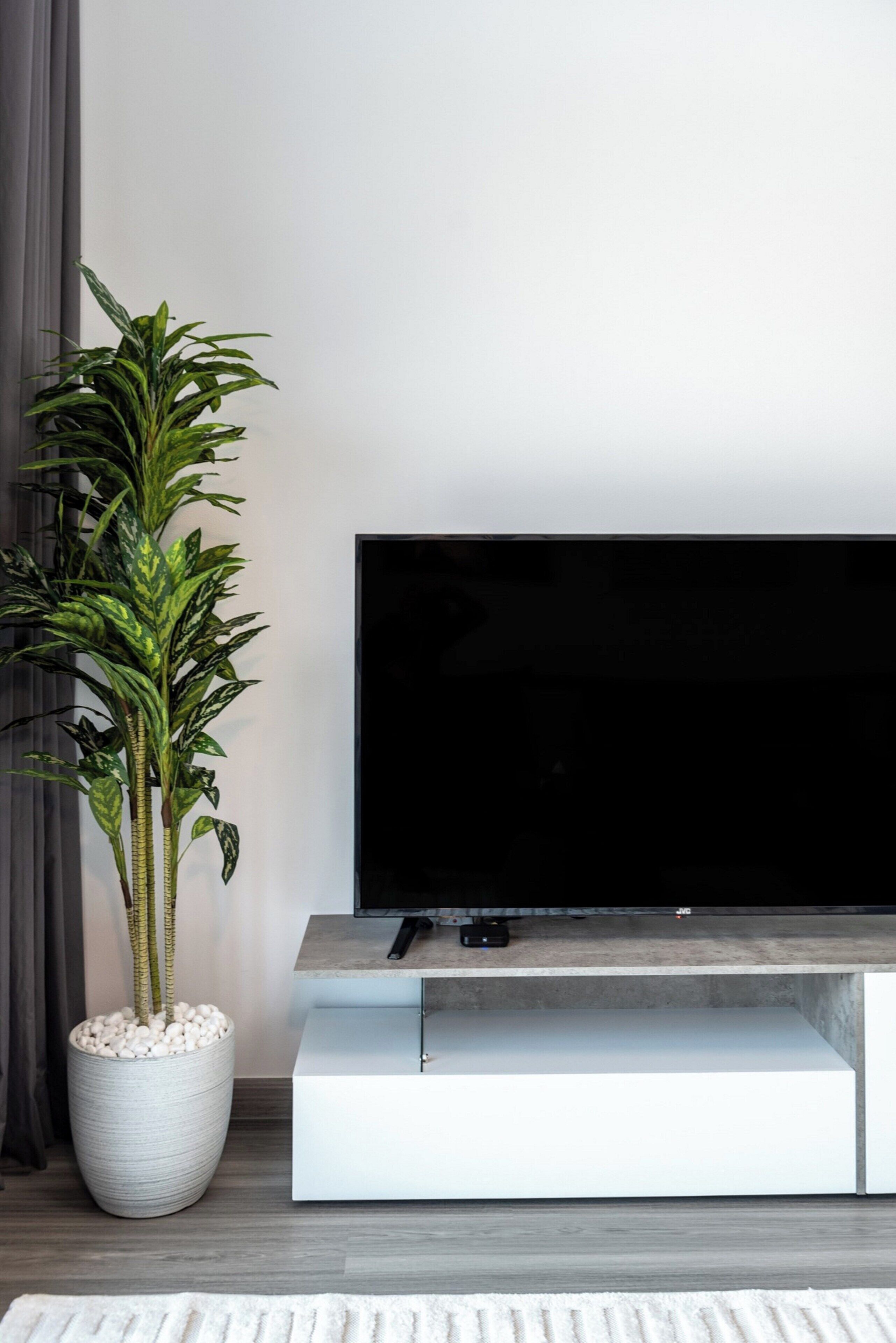 A flat-screen TV on a white entertainment unit, a potted plant with white pebbles, and a grey curtain.