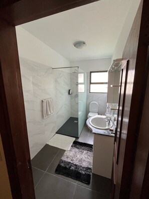 Dusche, Haartrockner, Bidet, Handtücher