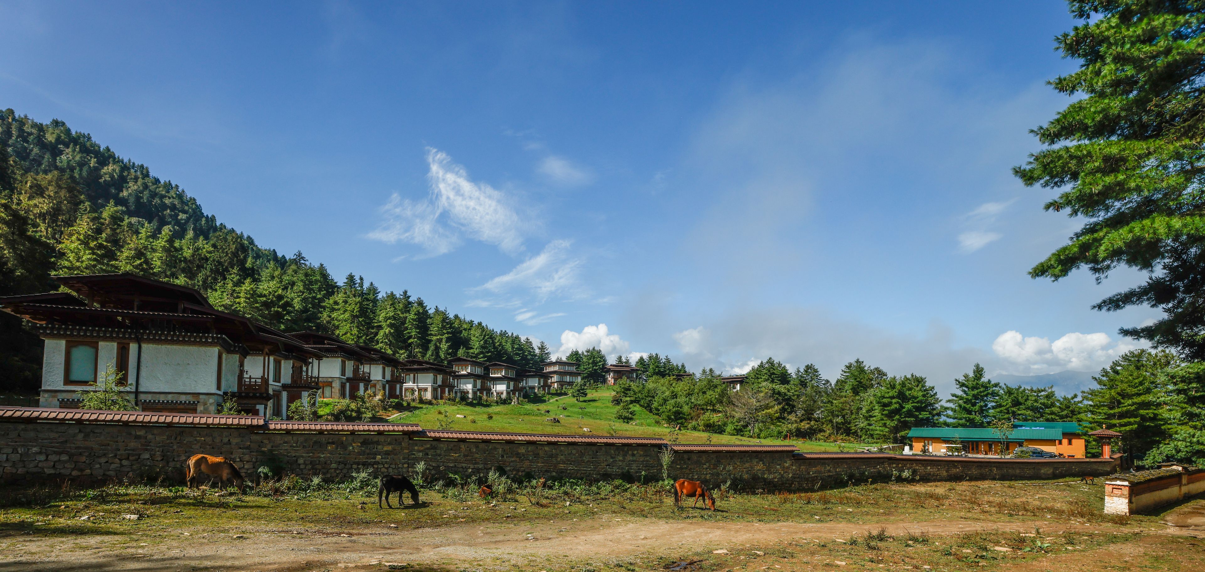A rural setting with traditional buildings, a dirt path, and grazing horses.