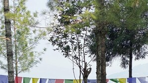 Deux personnes dînent à une table en plein air, avec une vue sur les montagnes, entourées d’arbres et de drapeaux aux couleurs vives.