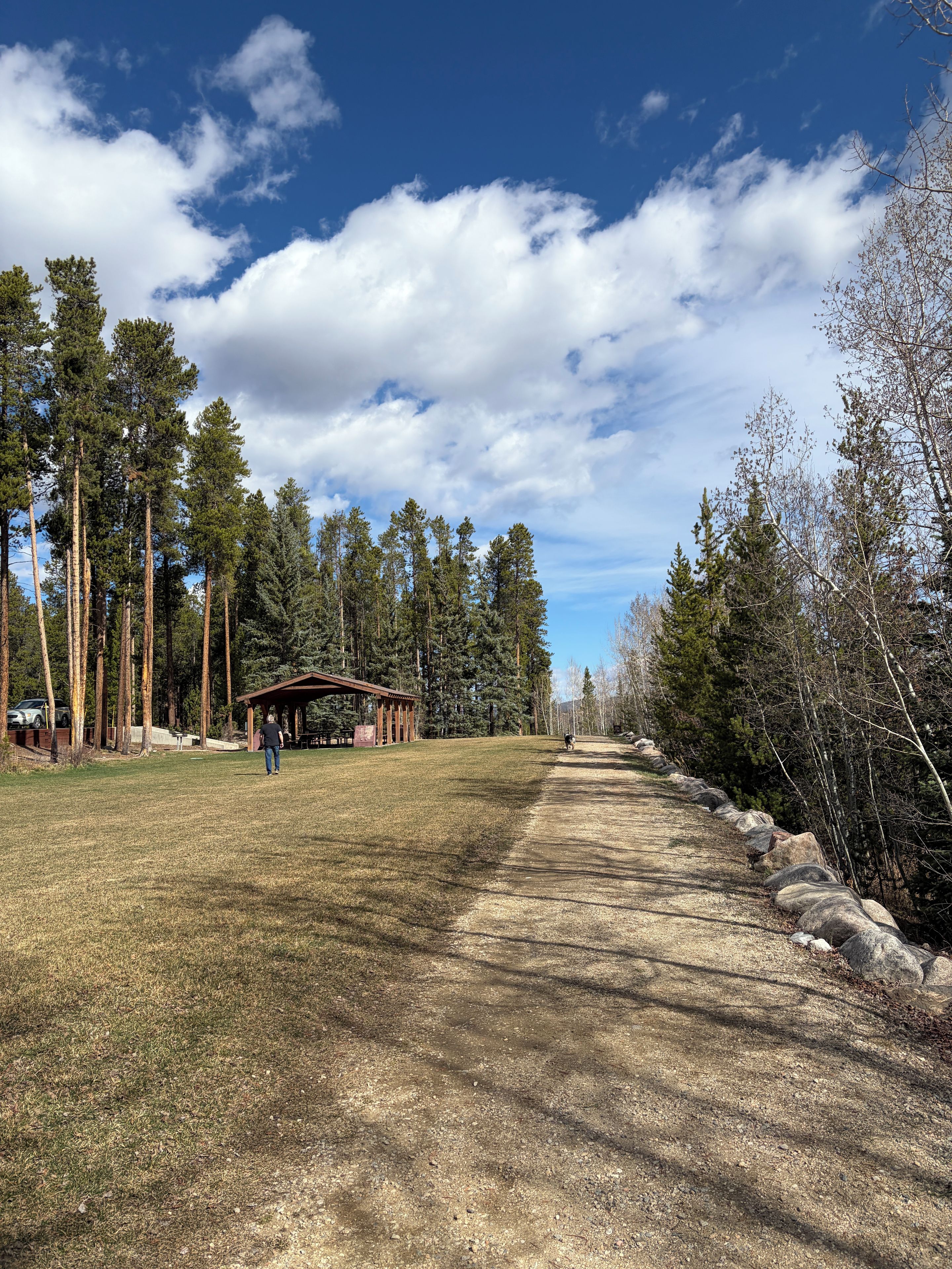 A paved pathway leading through a park with a gazebo and tall trees.