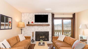 TV, fireplace, books