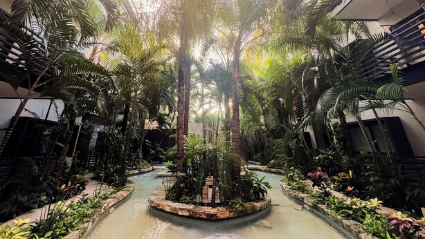 A lush indoor garden with a central water feature, surrounded by tall palm trees and various plants. - Melittas Stylish 2Bed,2Bath-Condo Near Beach - 6 Guests (Playa del Carmen)