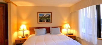 New Listing Pets OK Crested Butte Base Free Wifi + Hot Tub
