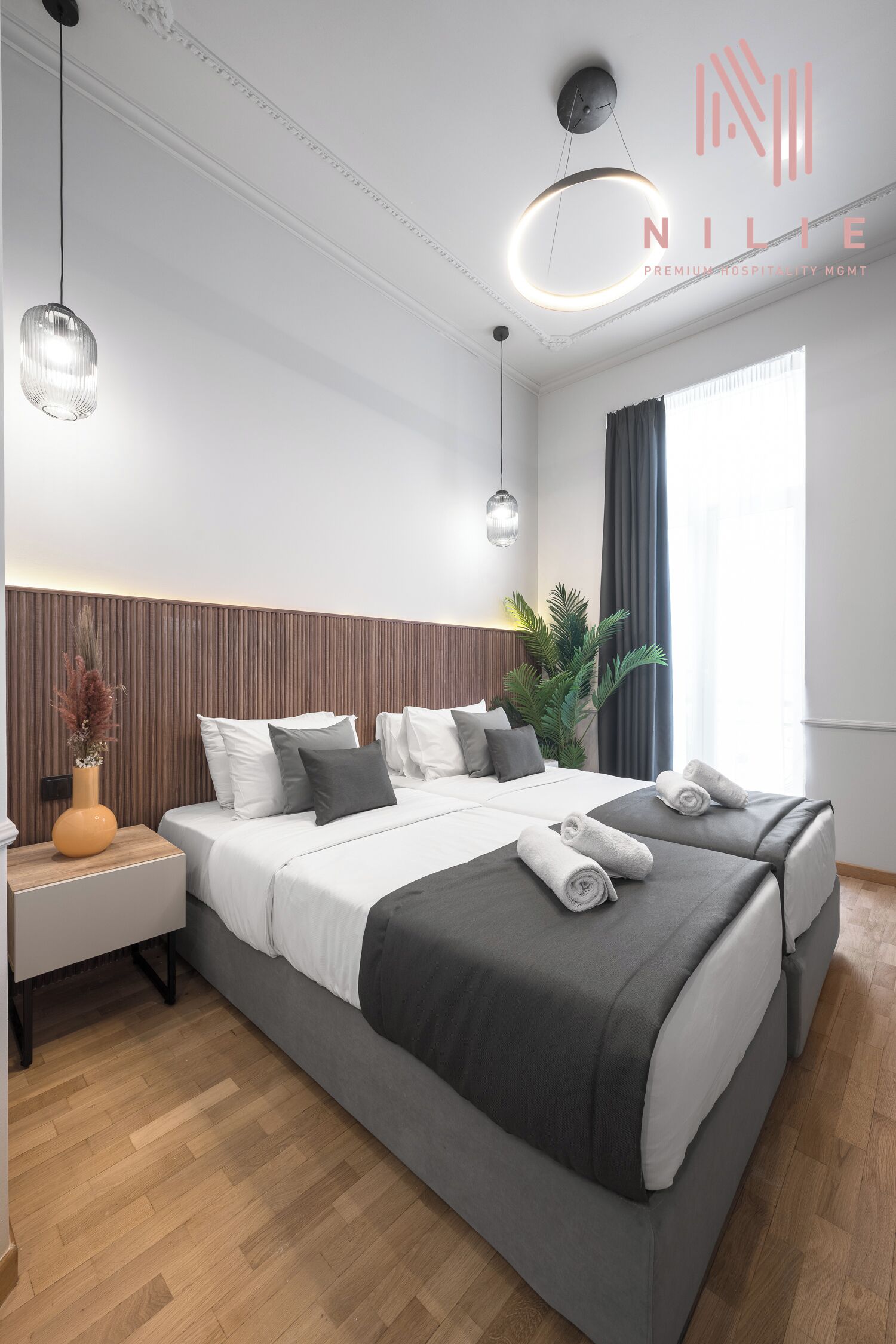 A modern hotel room with a large bed, bedside tables, a potted plant, and a large window.