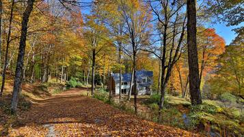 House, 4 Bedrooms | Property grounds