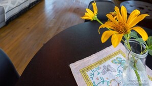 Un interior de madera con una hamaca, un sofá y una mesa con un jarrón de flores.