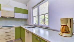 A kitchen with green cabinets, a white countertop, a sink, and a coffee maker. - Casa Verde, located in the village Artatore, 150 m distance from the sea, for 5 people. (Cunski)