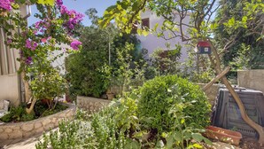 Ein Garten mit verschiedenen Pflanzen und einer Steinmauer.