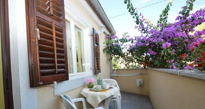 Apartment Orhideja 1 in Mali Lošinj , the nearest beach Zagazinjine is 500 m away.