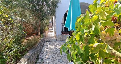 Apartment Luciana 2 in Mali Lošinj, ideal für vier Personen. Es besteht aus zwei Schlafzimmern, Badezimmer, Esszimmer, Küche und Terrasse. Der Parkplatz befindet sich vor dem Haus.