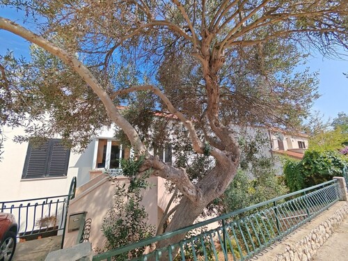 Apartment Luciana 2 in Mali Lošinj, ideal für vier Personen. Es besteht aus zwei Schlafzimmern, Badezimmer, Esszimmer, Küche und Terrasse. Der Parkplatz befindet sich vor dem Haus.