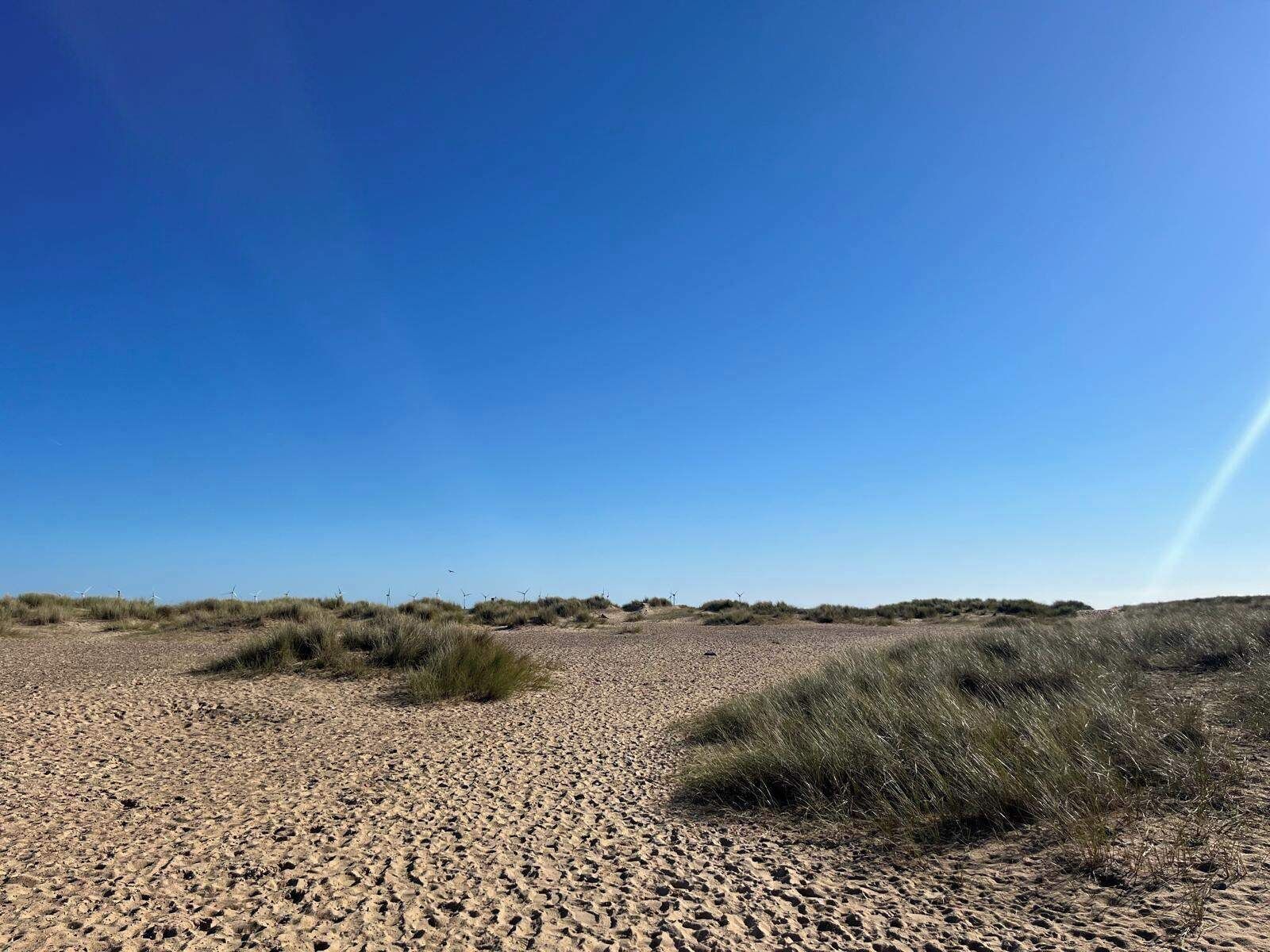 Eine sandige Landschaft mit vereinzelter Vegetation und Windkraftanlagen in der Ferne.