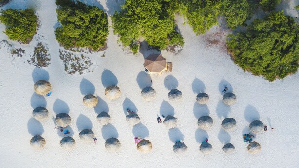 An aerial view of a beach with several large umbrellas and lounge chairs arranged in rows. - Luxury Coastal Condo with Panoramic Views of Aruba (Noord)