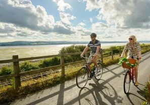 Unclassified image, 4 of 53, button