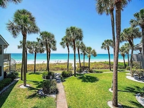 Property grounds - Beachfront Aldea 18 in Belleair Beach (Belleair Beach)