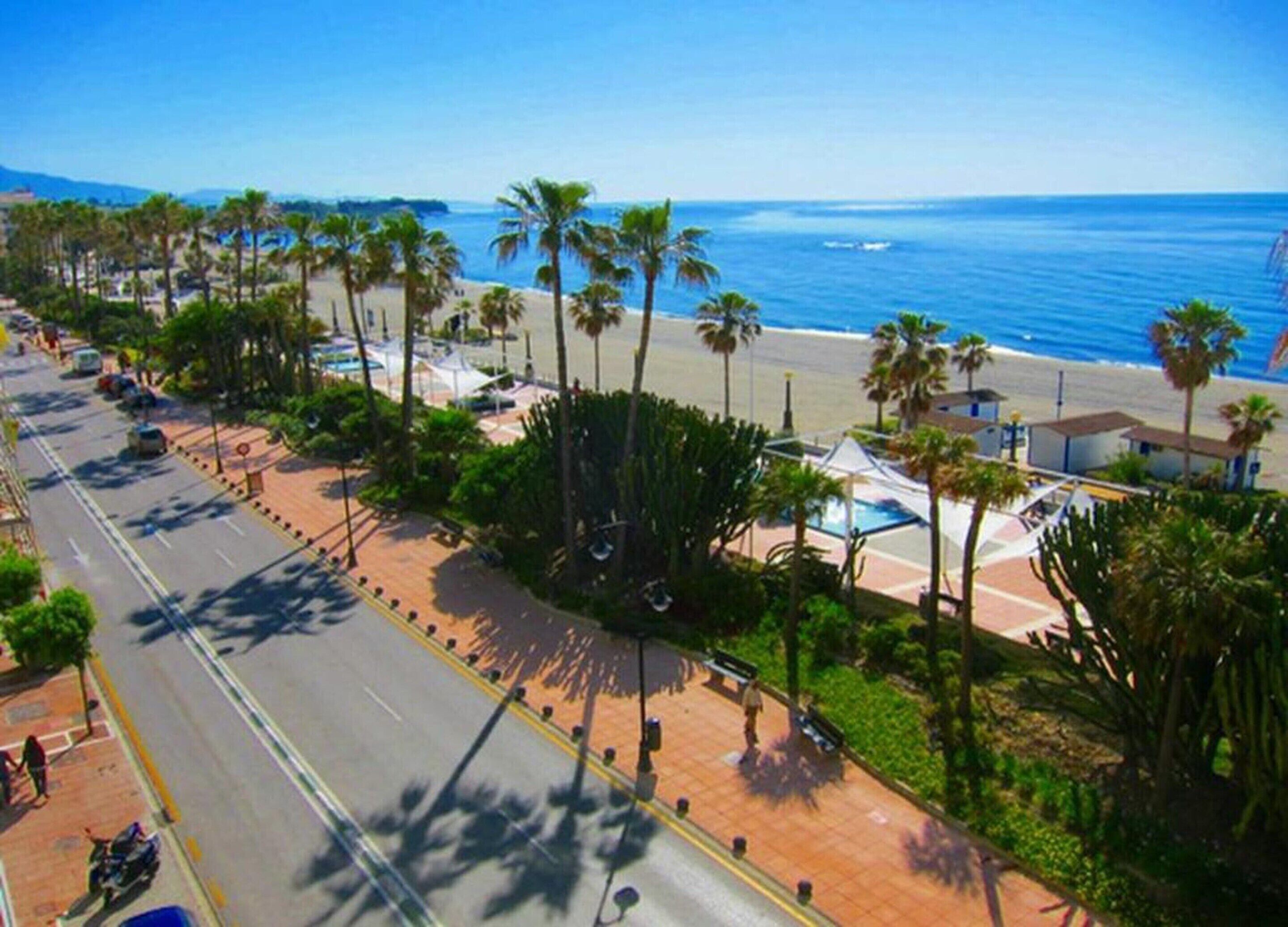 A coastal road with palm trees, a beach, and a clear blue sky.