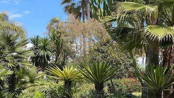 Apartment | View from property