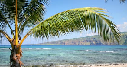 Waikoloa Beach Villas F32