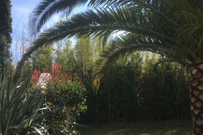 Terrain de l’hébergement 