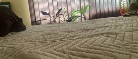 4 chambres, fer et planche à repasser, Wi-Fi, draps fournis