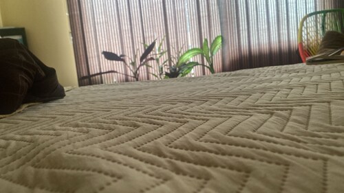 Apartment 5 minutes from downtown!