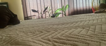 Apartment 5 minutes from downtown!