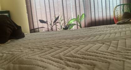 Apartment 5 minutes from downtown!