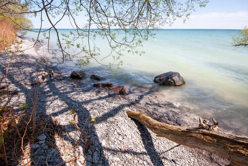 Stay In the heart of Wellington